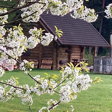Tūja Mezupes旅馆 外观 照片